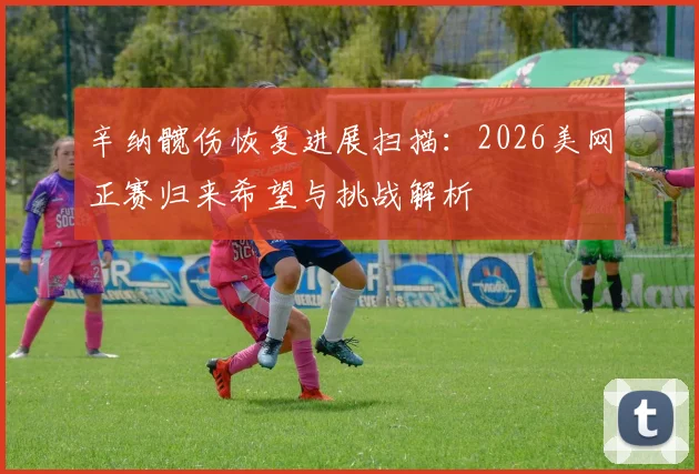 辛纳髋伤恢复进展扫描：2026美网正赛归来希望与挑战解析